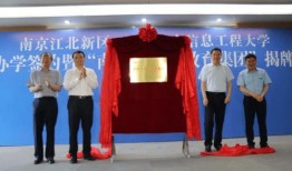 黑石集团爆料最新消息视频,揭秘视频背后的惊人内幕